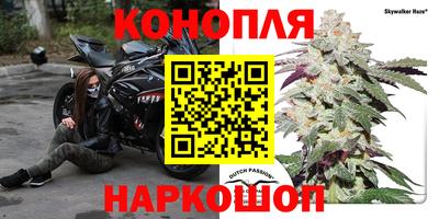 крисы Волгодонск