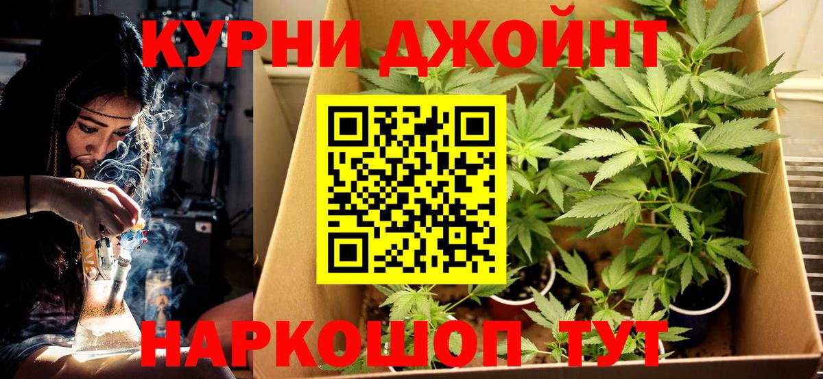 Марихуана марихуана Россия